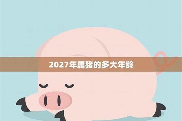 2025属猪人的全年每月运势