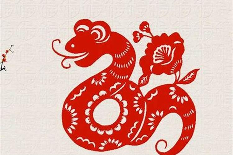 梦见马在水里跑的预兆
