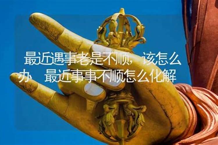生肖羊1979年2025年运势如何 生肖羊1979年2025年全年运势