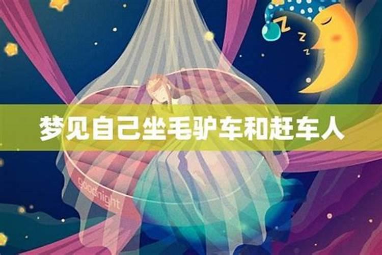 梦见坐毛驴车什么意思