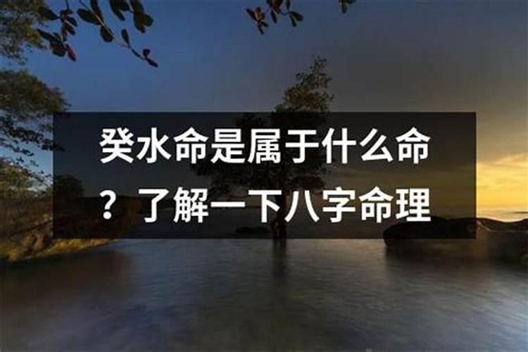 2004年十月初一六点五十七分出生是什么命