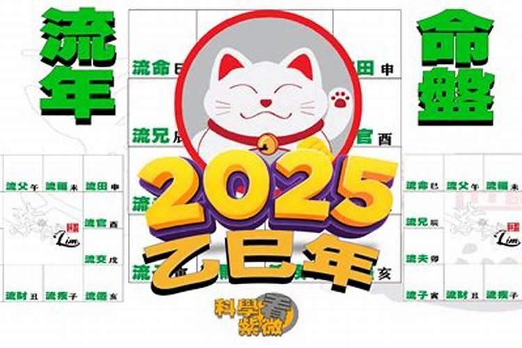 先天命盘命宫主星紫薇,紫薇命盘详解与分析