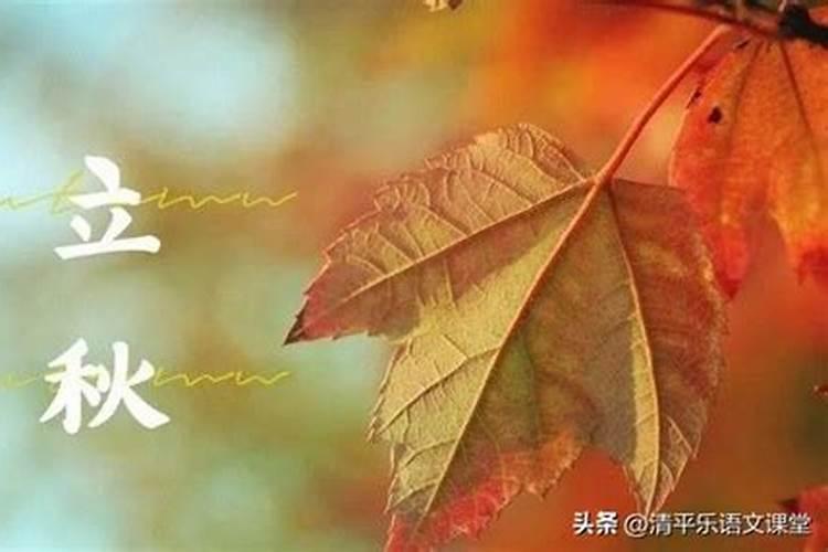 2026年犯太岁的属相是哪几个？