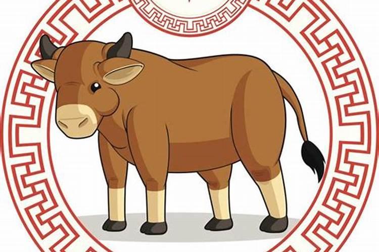 属牛女生不能嫁的属相