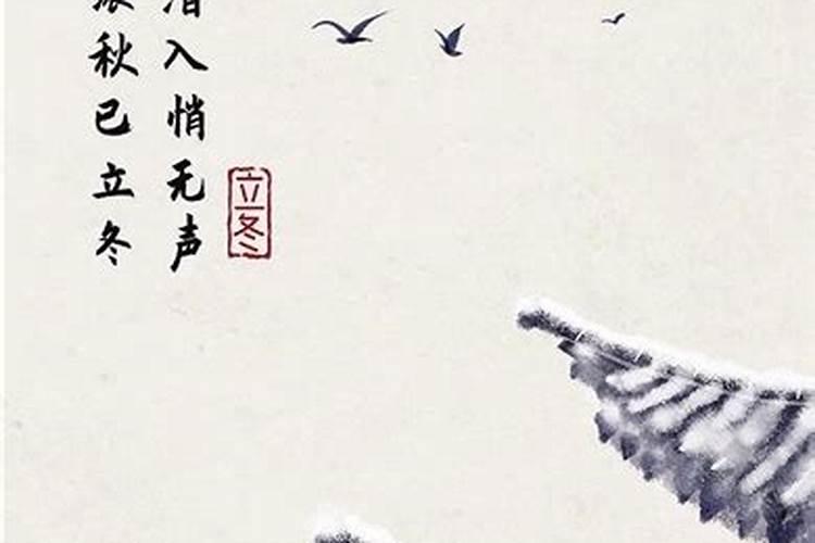 属兔1987年出生今年的运势怎样