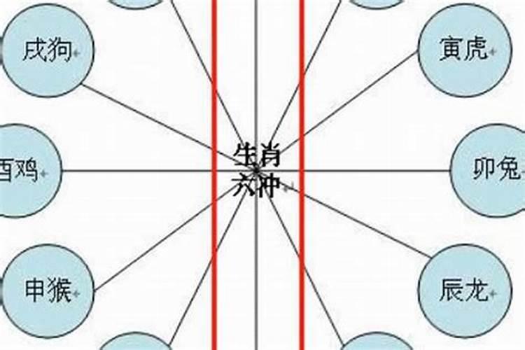 2025年各生肖运势