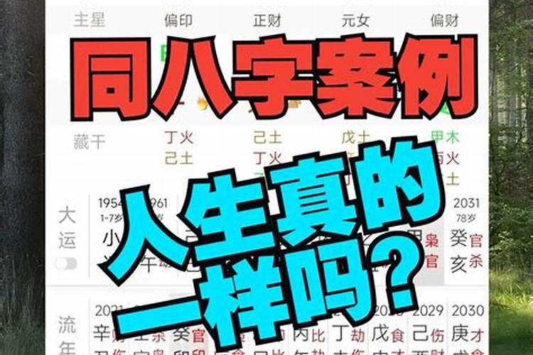 八字只有年支不同,其余的都和我相同。我们的婚姻走势会一样吗？