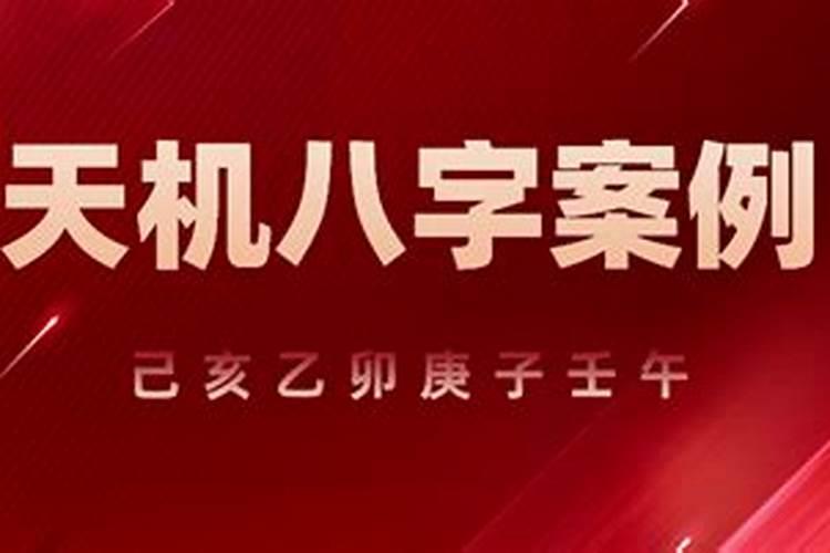 生肖鼠1984年2025年运势如何 生肖鼠1984年2025年全年运势
