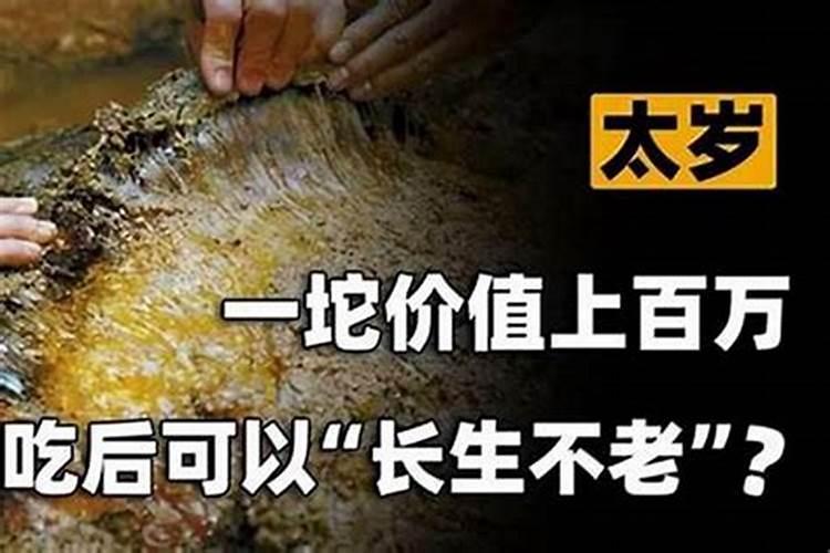 正财和偏财哪个福分大