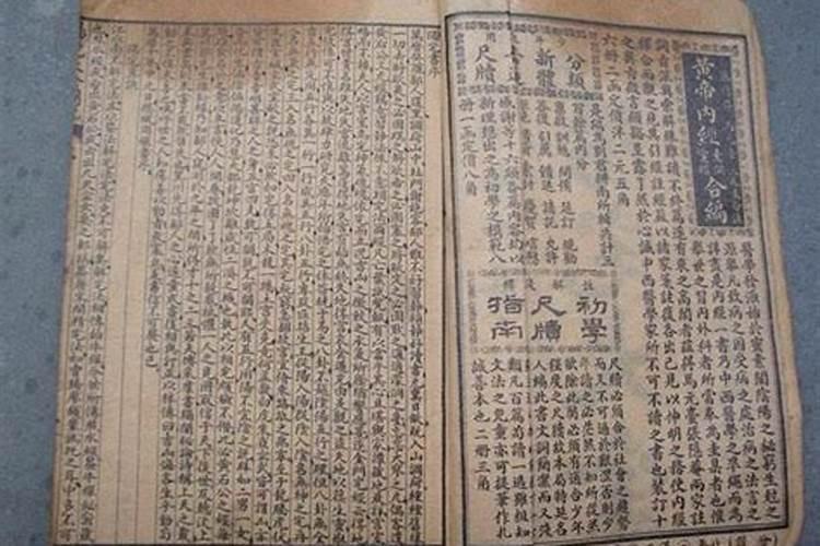 1975属兔女在2025年的每月运势