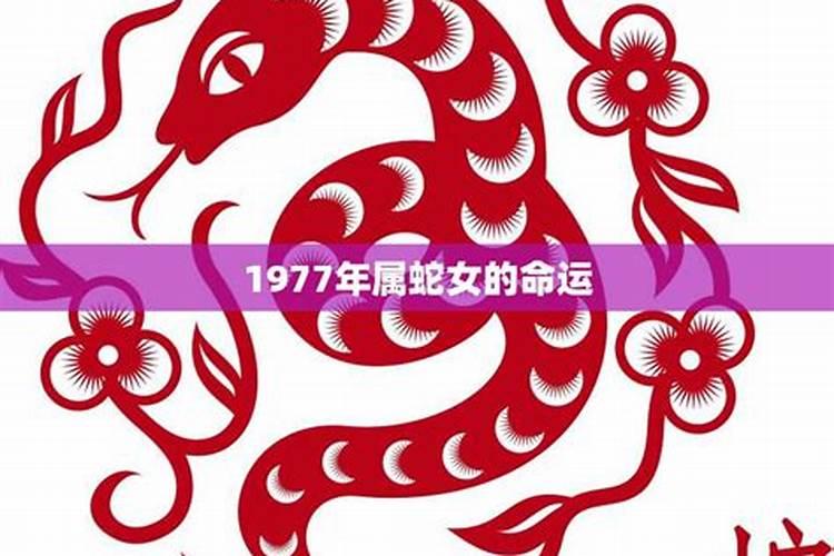 2025属兔人每月运势及运程如何 属兔人2025年运势