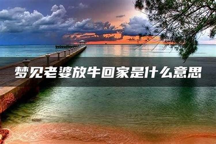 八字空亡的查法,以及各柱空亡代表的含义