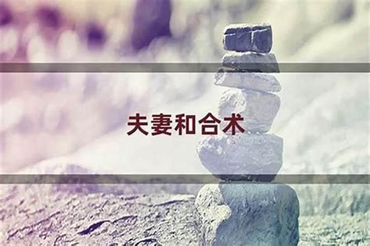 93年鸡2025年运势