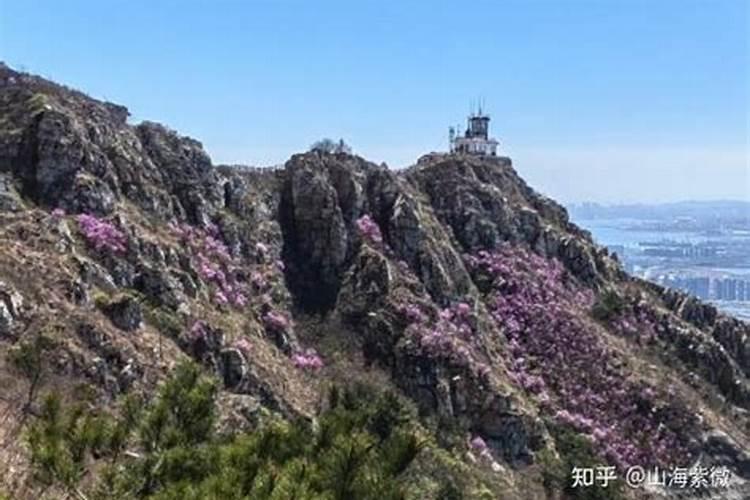 属虎的感情和婚姻,为什么属虎人一生的婚姻运比较差