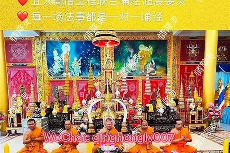 属猪的今年运气怎么样属猪的人性格好吗