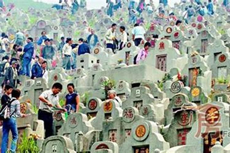 82年的狗在2025年的运势怎么样