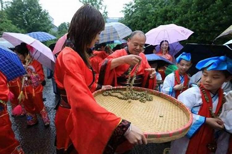 71年生肖猪2024年运势及运程详解