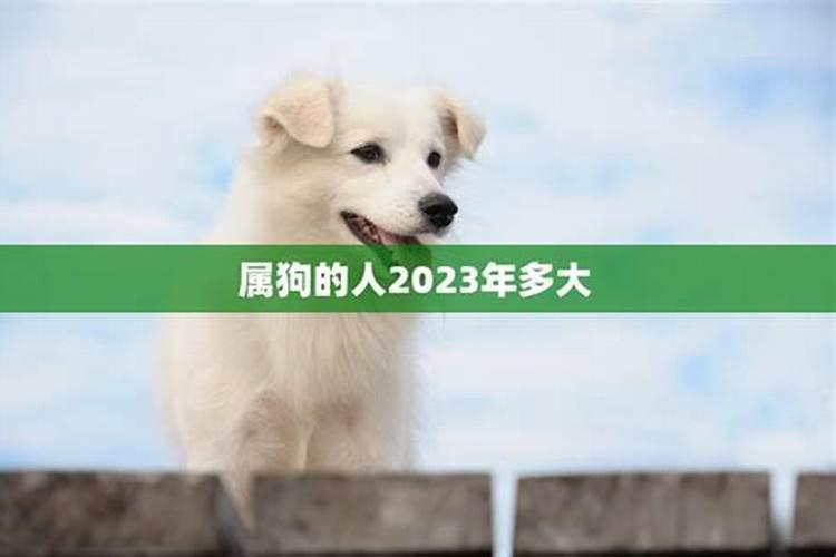 东至道士做法