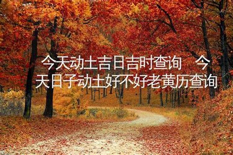 鼠年犯太岁的属相 属鼠犯太岁化解方法