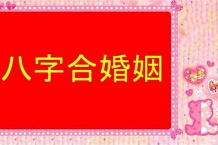 属兔人2025年运势及运程每月运程