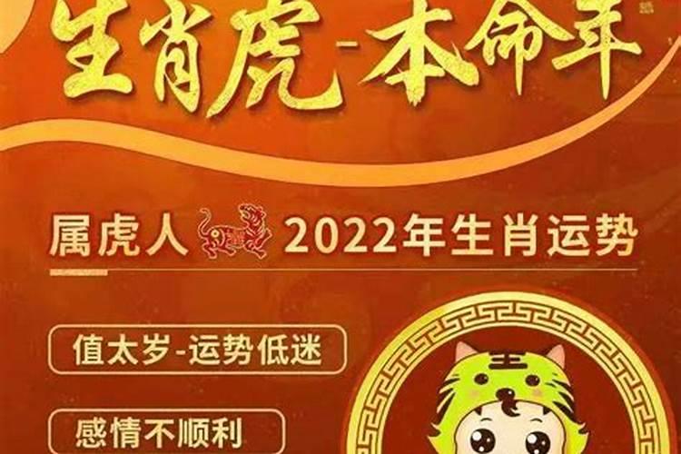 2025年犯太岁的生肖蛇怎么化解 2025年犯太岁的生肖蛇怎么躲星