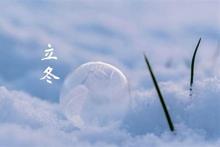 属狗的2024年犯太岁怎么化解