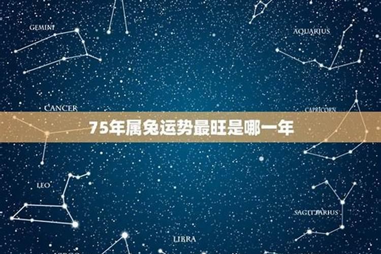 农历1995年12月30出生的人属相和星座