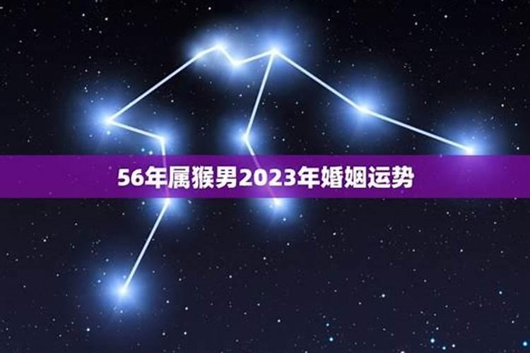 属猴的人2024年的运势及运程