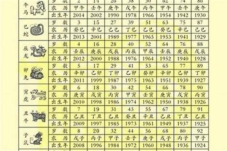 属龙2025年犯太岁吗