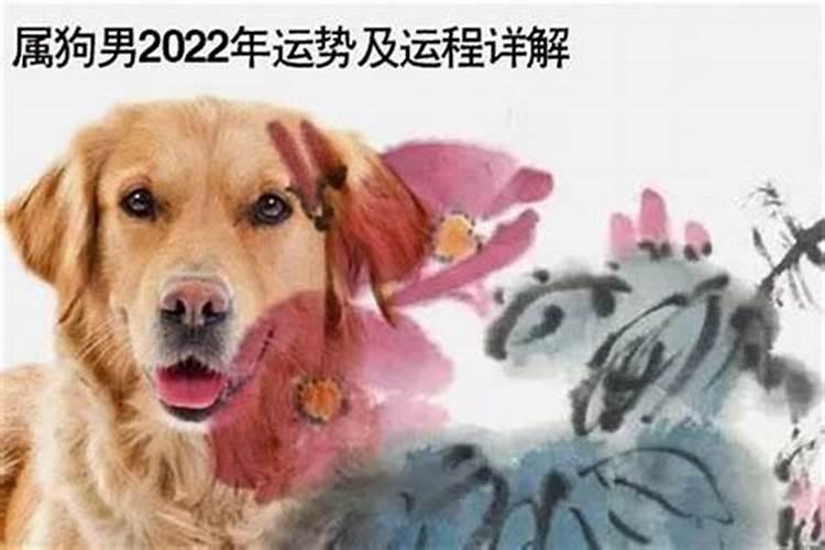 什么属相不用躲春 哪些属相不用躲春