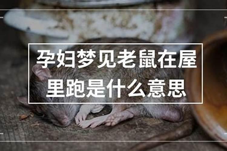 蛇马属相合还是相克