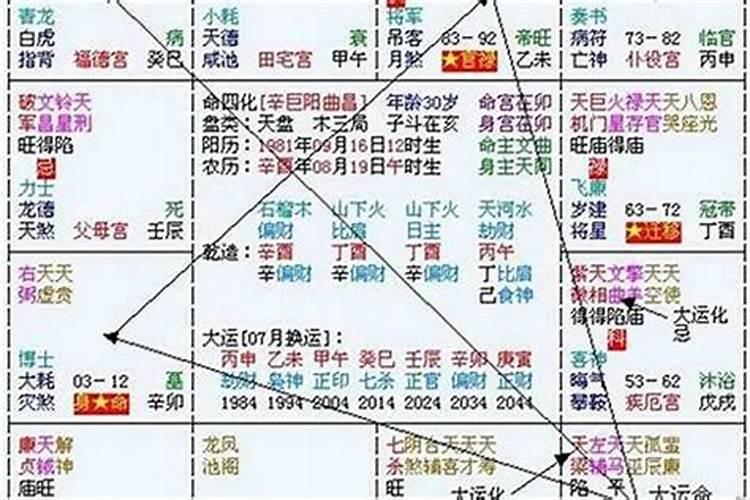 生肖兔2025年运势 属兔2025年运势及运程