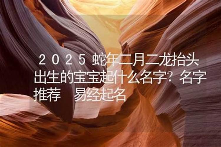 生肖鼠1984年2025年运势如何 生肖鼠1984年2025年全年运势