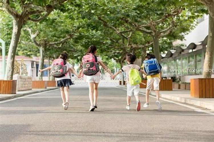 2024年猪犯太岁吗 犯太岁的化解方法