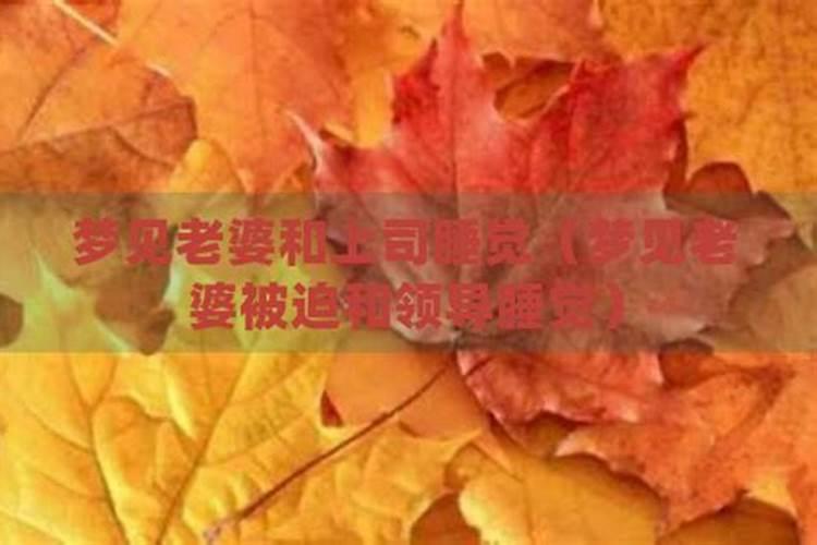 2024年冬至日是几月几日 冬至节气的特点