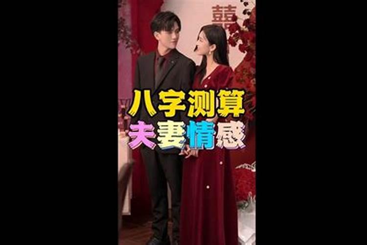 属龙和什么属相配比较好,与龙白头偕老的生肖有哪些？