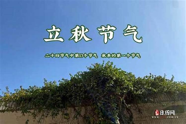 本命年能生小孩吗