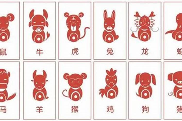 羊后面是什么生肖