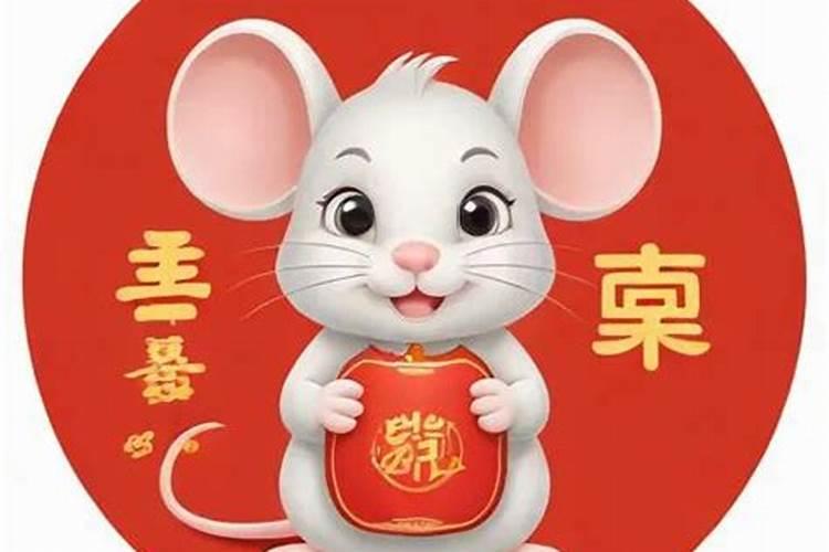 猪年属鼠人的运势如何 运程解析？