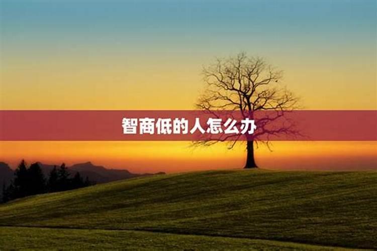 八字水旺却智商不好是怎么回事