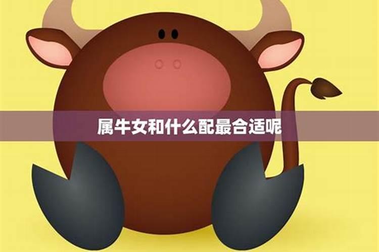 属牛的女人婚配什么属相最好