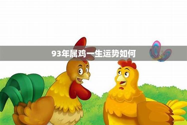 属鸡人1993年一生命运