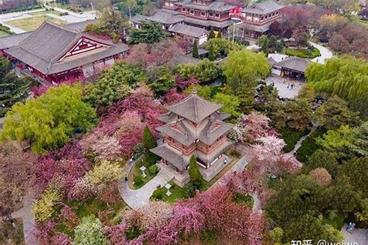 腊月初七是什么日子