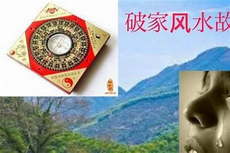 82年属狗的最佳婚配表