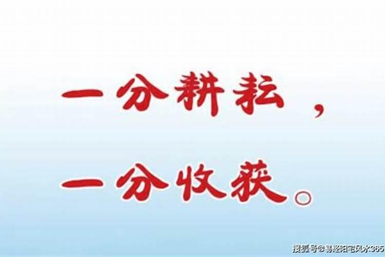 河南什么时候有吃什么的习俗