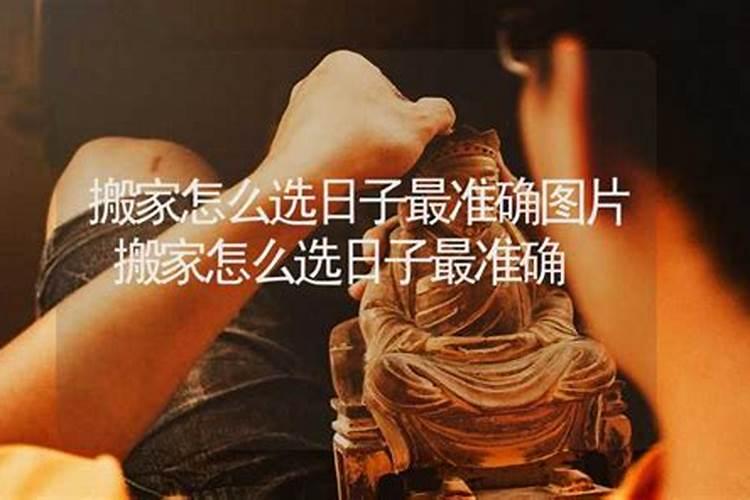 属狗人2025年每月运势及运程详解