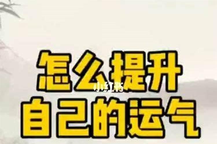 农历1991年10月初一中午生的查五行
