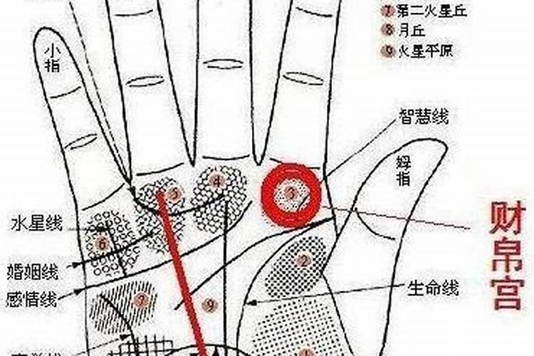 面相中财帛宫是什么位置 鼻子看富贵