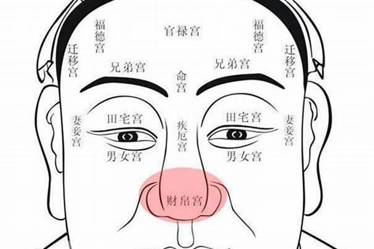 面相财帛宫在哪个位置