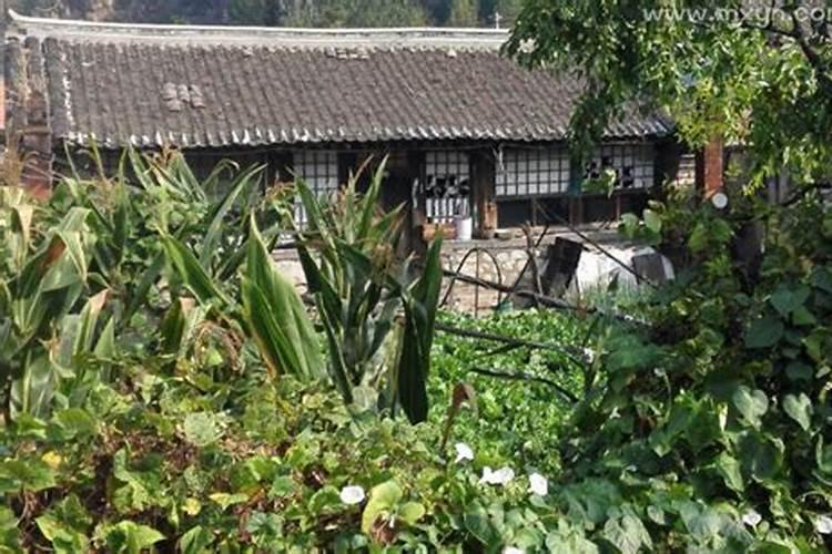 什么样的八字会注定婚姻不顺,你知道有哪些特征？